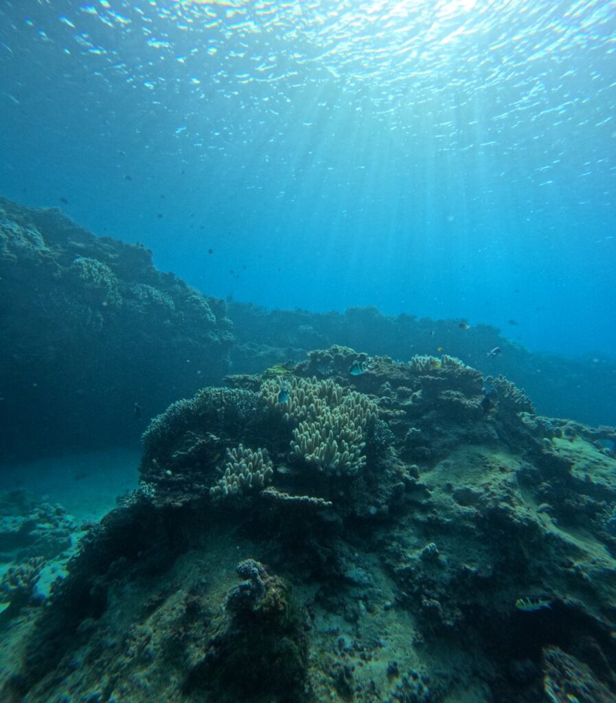 潛水 浮潛 中文說明 中文教練