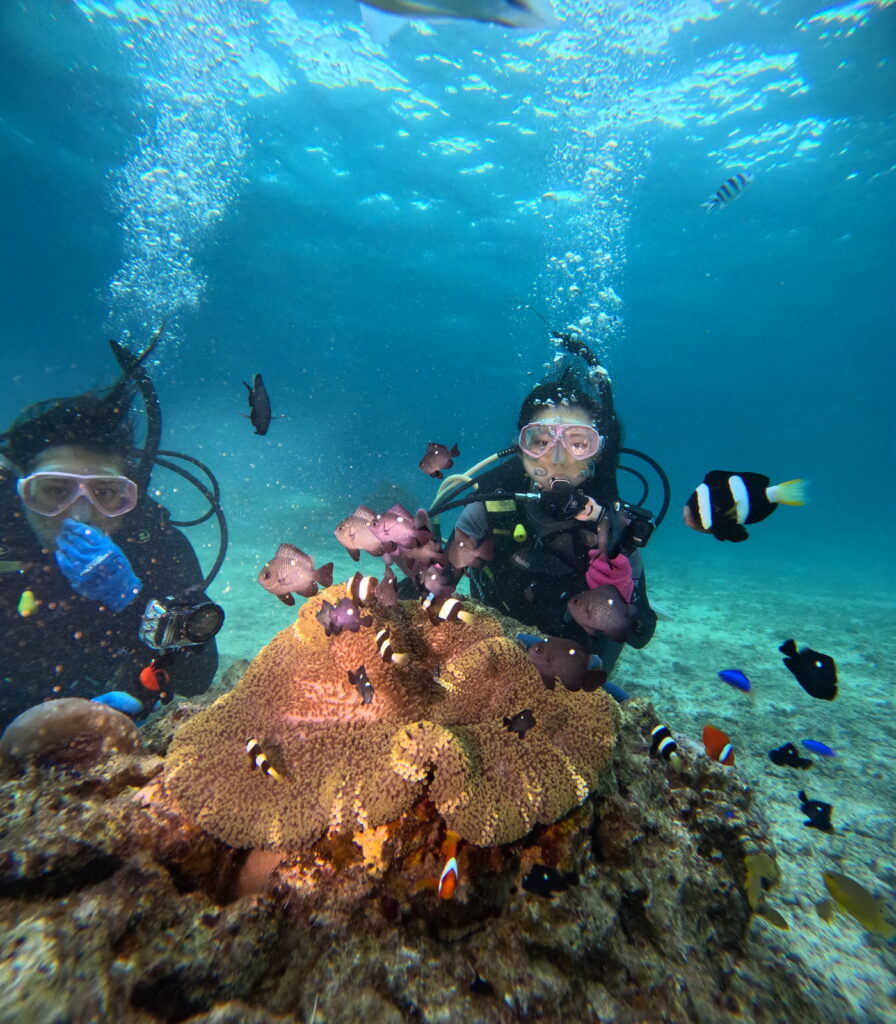 沖繩 潛水 PADI 走進藍色的世界 黑潮潛水