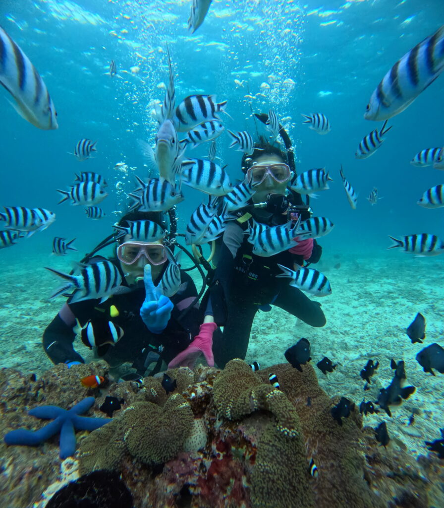 沖繩 潛水 PADI 走進藍色的世界 黑潮潛水