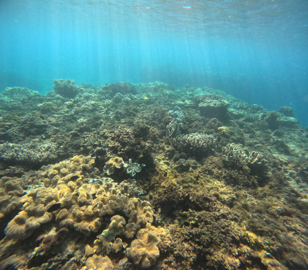 体验潜水 浮潜 PADI 冲绳
