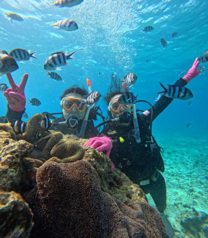 沖繩 潛水 夢幻礁