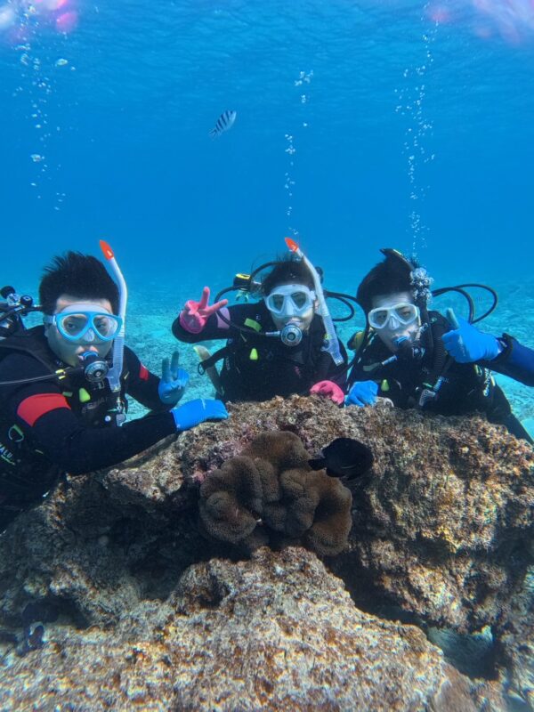 青之洞窟 家族旅游 体验潜水