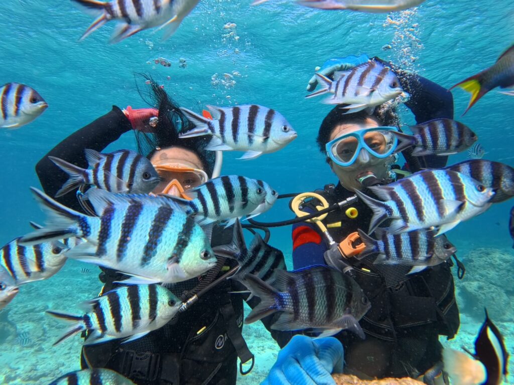 梦幻礁 冲绳 中文服务