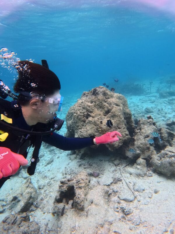 體驗潛水 沖繩 PADI