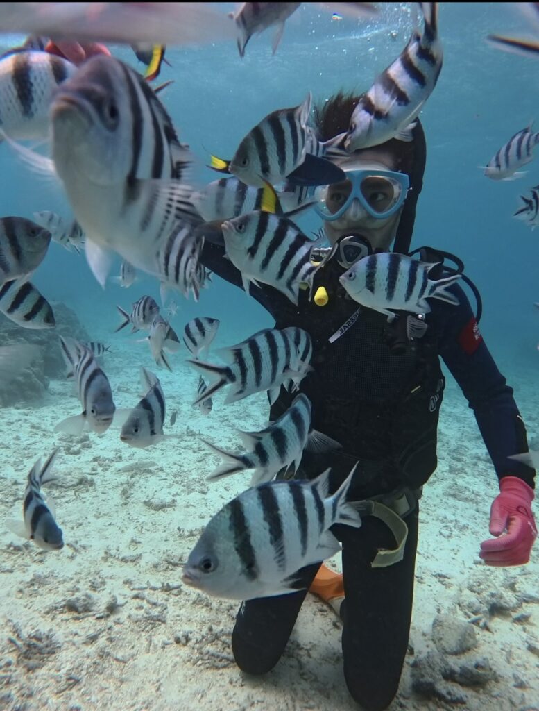 夢幻礁 自由潛水 浮潛