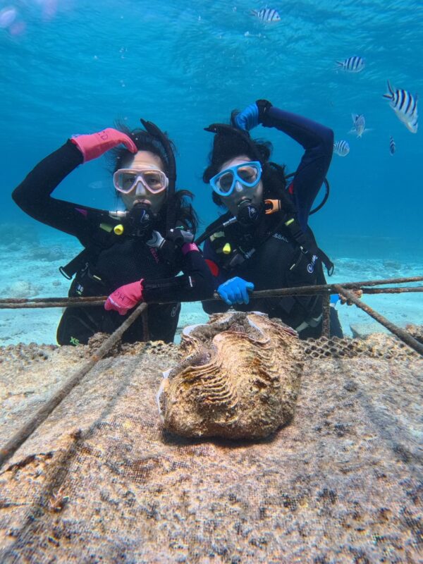 冲绳潜水 青洞 中文服务