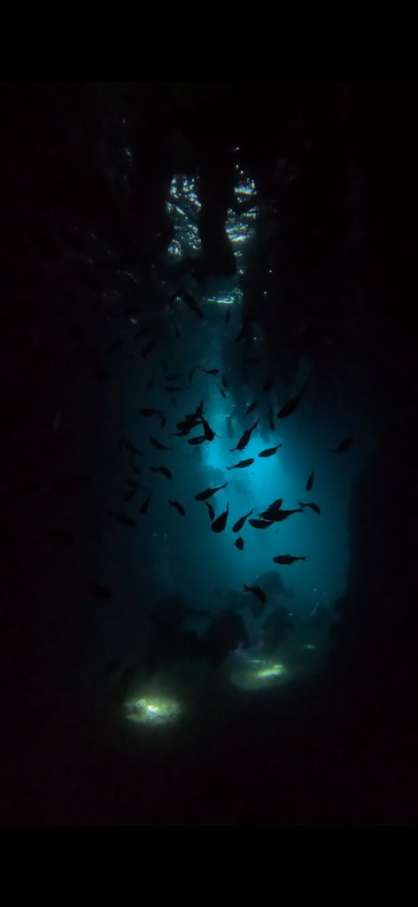 冲绳潜水 PADI 中文教练