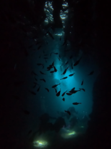 冲绳潜水 PADI 中文教练