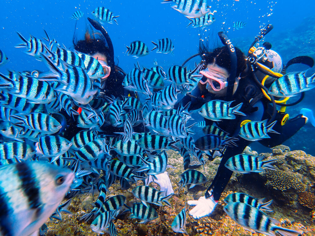 冲绳青洞潜水 体验潜水 中文教学 黑潮潜水