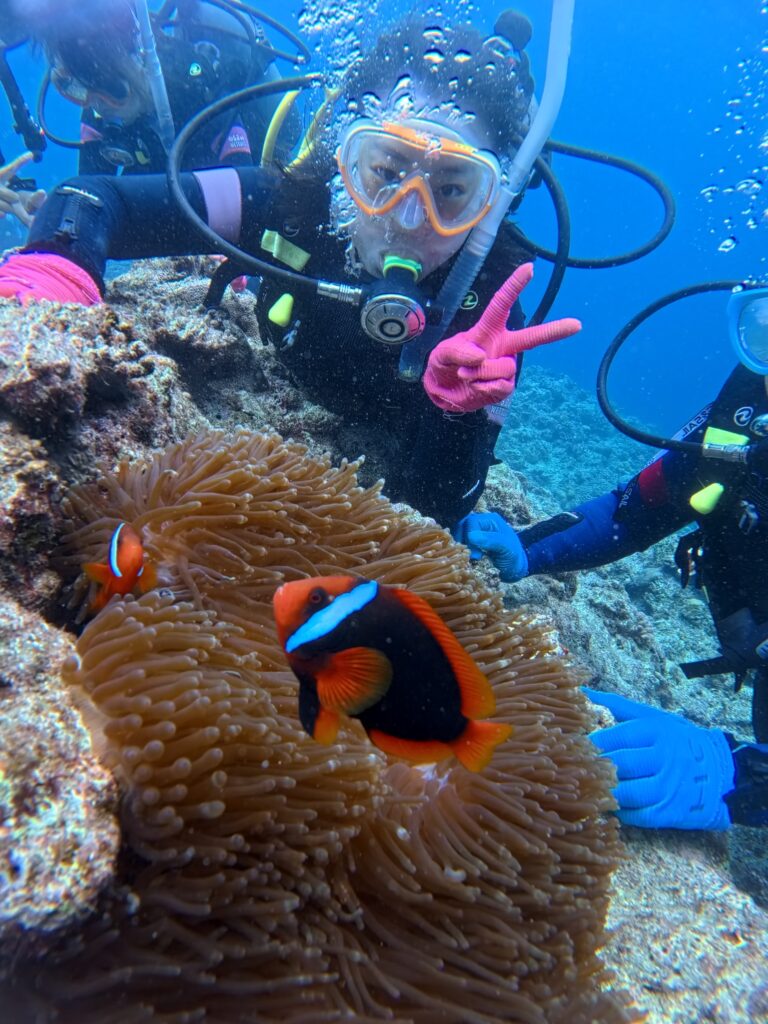 熱帶魚 珊瑚 黑潮潛水