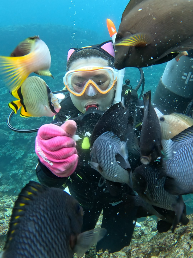 熱帶魚 PADI 沖繩潛水