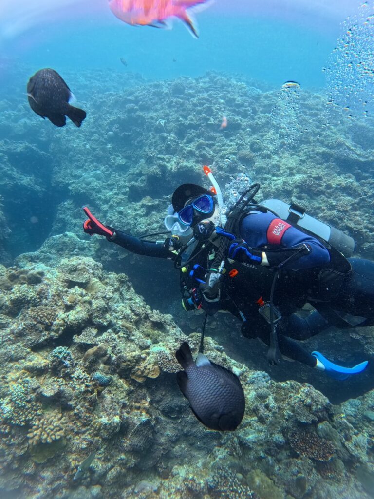 青洞 中文教練 PADI