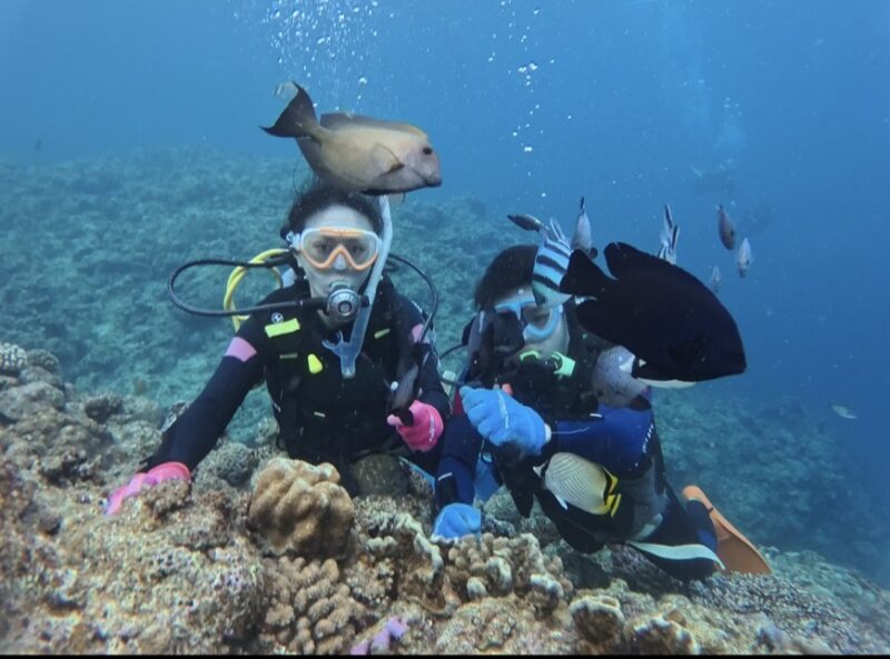 青洞 黑潮潛水 中文教練