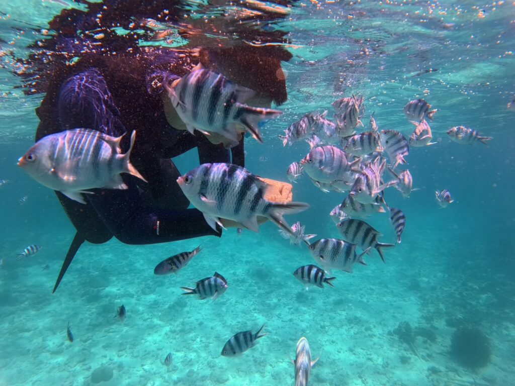 中文教練 PADI 沖繩