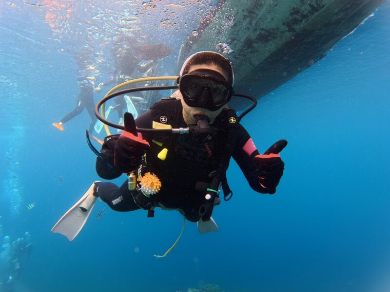 青洞潛水 黑潮潛水 沖繩首選