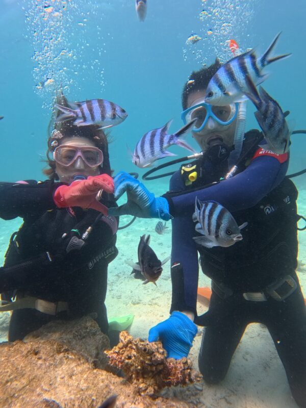 青洞 中文教練 潛水