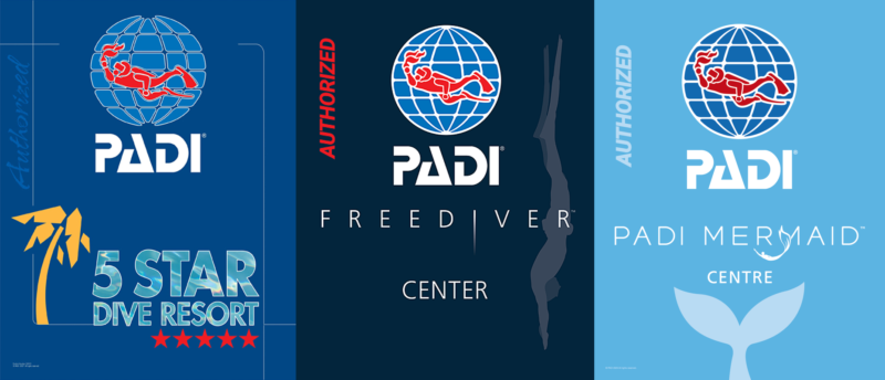 沖繩潛水推薦｜黑潮潛水 PADI五星潛水度假村 自由潛水中心 美人魚中心