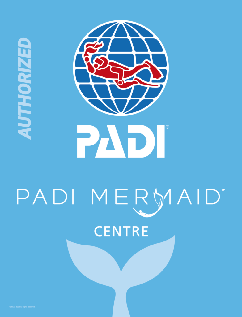 PADI 美人魚潛水中心官方認證標誌 - 沖繩黑潮潛水 HEICHIAO DIVE (PADI Mermaid Center Okinawa)