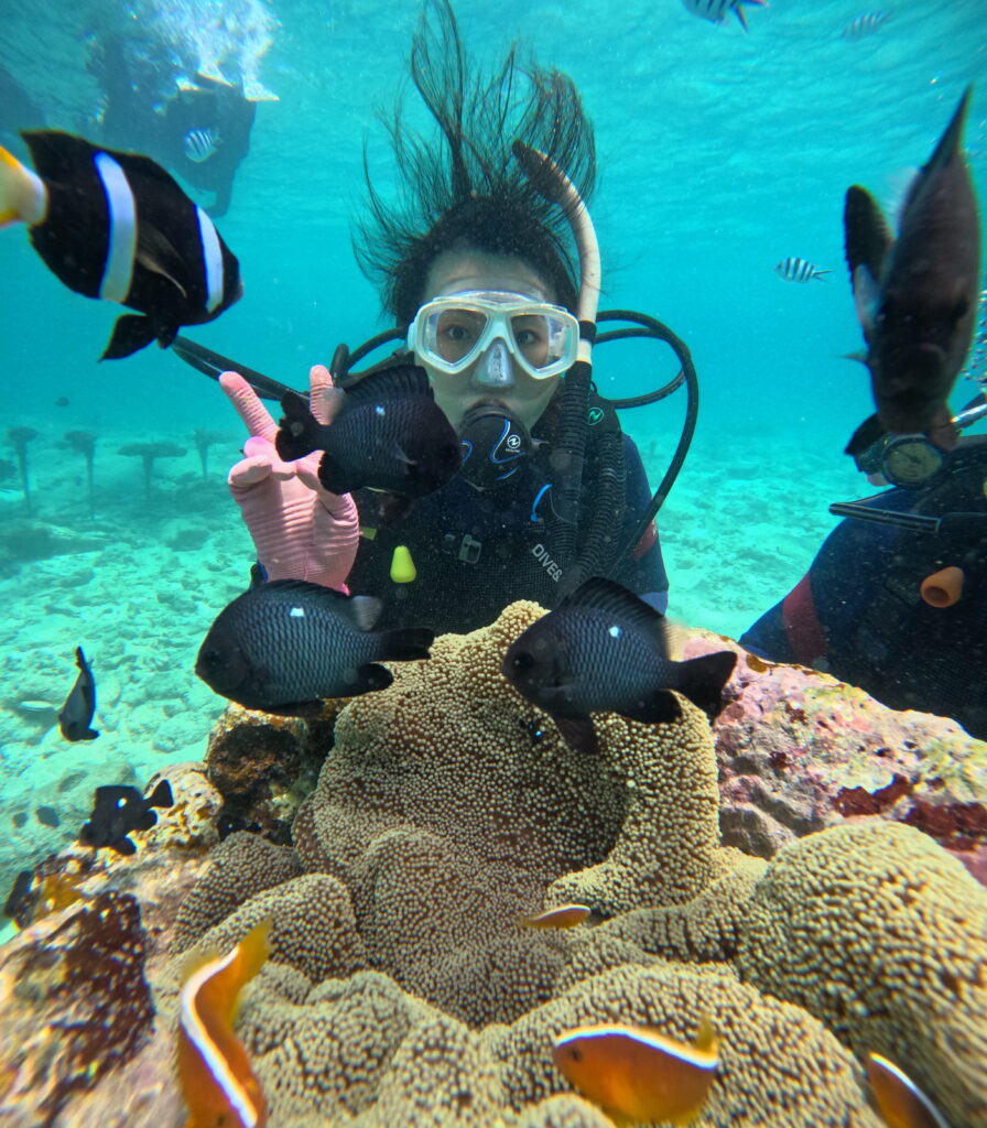 青洞 黑潮潜水 海底世界