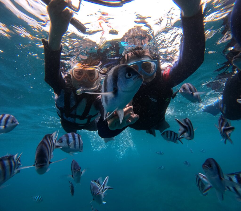 沖繩潛水 PADI 中文服務