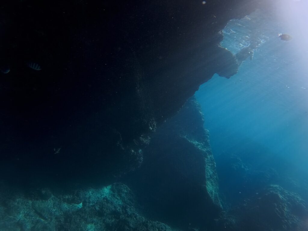 黑潮潛水 蔚藍海洋 體驗潛水