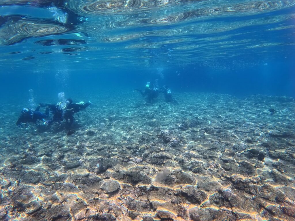 沖繩 PADI 體驗潛水