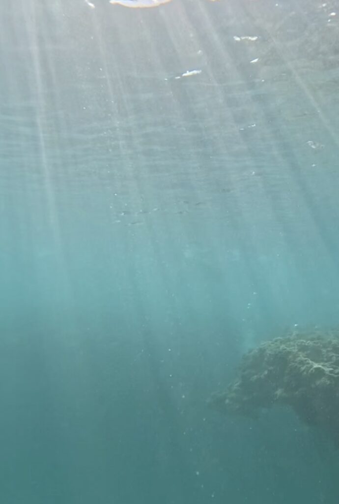中文服務 沖繩浮潛 水下攝影